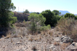 Grupo Mineralógico de Alicante. Cantera Serreta de la Torre. Moralet. Alicante