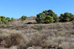 Grupo Mineralógico de Alicante. Cantera Serreta de la Torre. Moralet. Alicante