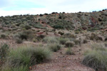 Grupo Mineralógico de Alicante. Afloramiento del Keuoer de Loma Badá. Petrer. Alicante