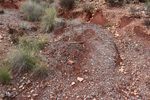 Grupo Mineralógico de Alicante. Afloramiento del Keuoer de Loma Badá. Petrer. Alicante