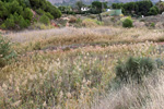 Grupo Mineralógico de Alicante.  Afloramiento del Keuoer de Loma Badá. Petrer. Alicante 