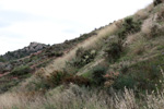 Grupo Mineralógico de Alicante.  Afloramiento del Keuoer de Loma Badá. Petrer. Alicante 