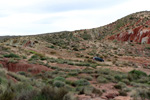 Grupo Mineralógico de Alicante. Afloramiento del Keuoer de Loma Badá. Petrer. Alicante