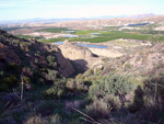 Grupo Mineralógico de Alicante. Cabezo Negro. Zeneta. Murcia