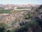 Grupo Mineralógico de Alicante. Cabezo Negro. Zeneta. Murcia