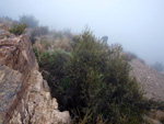 Grupo Mineralógico de Alicante. Cabezo de la Mina. Santomera. Murcia