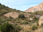 Grupo Mineralógico de Alicante. Cabezo de la Mina. Santomera. Murcia