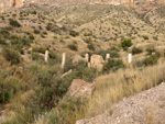 Grupo Mineralógico de Alicante. Cabezo de la Mina. Santomera. Murcia