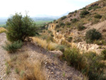 Grupo Mineralógico de Alicante. Cabezo de la Mina. Santomera. Murcia