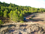 Grupo Mineralógico de Alicante. Afloramiento del Keuper. Casas de Ves, Comarca La Manchuela, Albacete