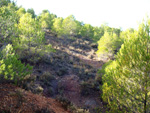 Grupo Mineralógico de Alicante. Afloramiento del Keuper. Casas de Ves, Comarca La Manchuela, Albacete