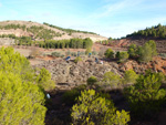 Grupo Mineralógico de Alicante. Afloramiento del Keuper. Casas de Ves, Comarca La Manchuela, Albacete