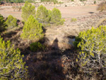 Grupo Mineralógico de Alicante. Afloramiento del Keuper. Casas de Ves, Comarca La Manchuela, Albacete