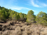 Grupo Mineralógico de Alicante. Afloramiento del Keuper. Casas de Ves, Comarca La Manchuela, Albacete