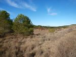 Grupo Mineralógico de Alicante. Afloramiento del Keuper. Casas de Ves, Comarca La Manchuela, Albacete