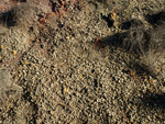 Grupo Mineralógico de Alicante.  Afloramiento del Keuper. Casas de Ves, Comarca La Manchuela, Albacete 