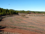 Grupo Mineralógico de Alicante. Afloramiento del Keuper. Casas de Ves, Comarca La Manchuela, Albacete