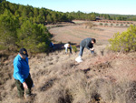 Grupo Mineralógico de Alicante. Afloramiento del Keuper. Casas de Ves, Comarca La Manchuela, Albacete