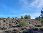 Grupo Mineralógico de Alicante. Afloramiento del Keuper. Casas de Ves, Comarca La Manchuela, Albacete