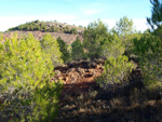 Grupo Mineralógico de Alicante. Afloramiento del Keuper. Casas de Ves, Comarca La Manchuela, Albacete