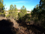 Grupo Mineralógico de Alicante. Afloramiento del Keuper. Casas de Ves, Comarca La Manchuela, Albacete