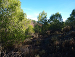 Grupo Mineralógico de Alicante. Afloramiento del Keuper. Casas de Ves, Comarca La Manchuela, Albacete