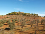 Grupo Mineralógico de Alicante. Afloramiento del Keuper. Casas de Ves, Comarca La Manchuela, Albacete