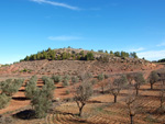 Grupo Mineralógico de Alicante. Afloramiento del Keuper. Casas de Ves, Comarca La Manchuela, Albacete