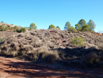 Grupo Mineralógico de Alicante. Afloramiento del Keuper. Casas de Ves, Comarca La Manchuela, Albacete