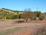 Grupo Mineralógico de Alicante. Afloramiento del Keuper. Casas de Ves, Comarca La Manchuela, Albacete