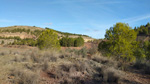 Grupo Mineralógico de Alicante. Afloramiento del Keuper. Casas de Ves, Comarca La Manchuela, Albacete