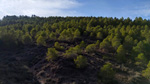 Grupo Mineralógico de Alicante. Alcala del Jucar. Valencia