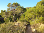 Grupo Mineralógico de Alicante. Minería de hierro. Aigues de Busot. Alicante