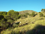 Grupo Mineralógico de Alicante. Minería de hierro. Aigues de Busot. Alicante