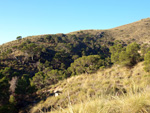 Grupo Mineralógico de Alicante. Minería de hierro. Aigues de Busot. Alicante