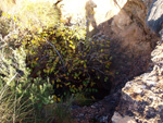 Grupo Mineralógico de Alicante. Minería de hierro. Aigues de Busot. Alicante