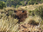 Grupo Mineralógico de Alicante. Minería de hierro. Aigues de Busot. Alicante