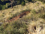 Grupo Mineralógico de Alicante. Minería de hierro. Aigues de Busot. Alicante