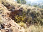 Grupo Mineralógico de Alicante. Minería de hierro. Aigues de Busot. Alicante