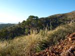 Grupo Mineralógico de Alicante. Minería de hierro. Aigues de Busot. Alicante