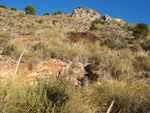 Grupo Mineralógico de Alicante. Minería de hierro. Aigues de Busot. Alicante