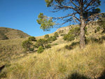 Grupo Mineralógico de Alicante. Minería de hierro. Aigues de Busot. Alicante