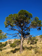 Grupo Mineralógico de Alicante. Minería de hierro. Aigues de Busot. Alicante