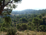 Grupo Mineralógico de Alicante. Minería de hierro. Aigues de Busot. Alicante