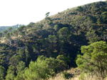 Grupo Mineralógico de Alicante. Minería de hierro. Aigues de Busot. Alicante