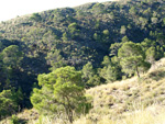 Grupo Mineralógico de Alicante. Minería de hierro. Aigues de Busot. Alicante