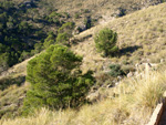 Grupo Mineralógico de Alicante. Minería de hierro. Aigues de Busot. Alicante