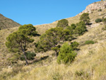 Grupo Mineralógico de Alicante. Minería de hierro. Aigues de Busot. Alicante