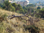 Grupo Mineralógico de Alicante. Minería de hierro. Aigues de Busot. Alicante