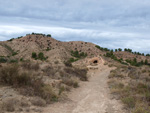 Grupo Mineralógico de Alicante. Inmediaciones camino del Acebuche. La Alcoraia. Alicantee